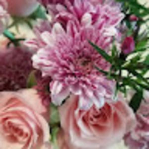 Meet your Posher, Brandi